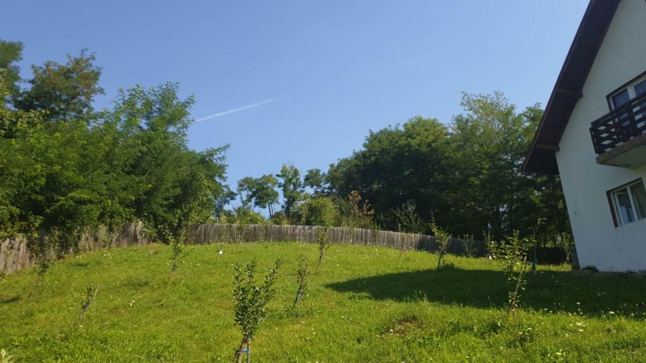 La Curtea Argeseana Lägenhet Valea Iasului Exteriör bild